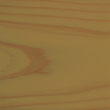 スプルース