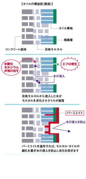 橋